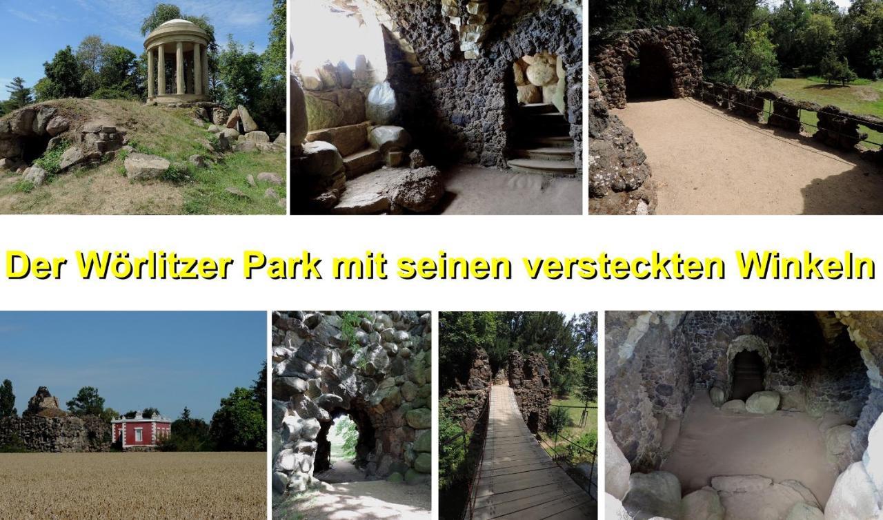 Die Ferienwohnung - Wittenberg An Den Elbwiesen Bagian luar foto