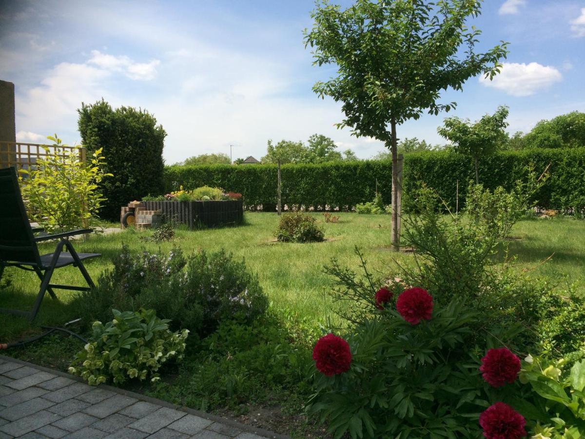 Die Ferienwohnung - Wittenberg An Den Elbwiesen Bagian luar foto