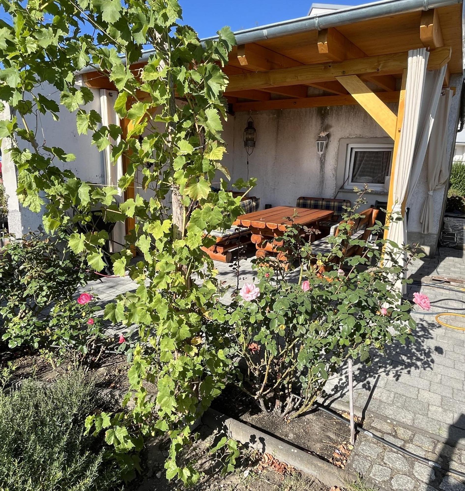 Die Ferienwohnung - Wittenberg An Den Elbwiesen Bagian luar foto